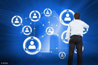 互联网时代 重塑市场格局，终结大企业绝对统治